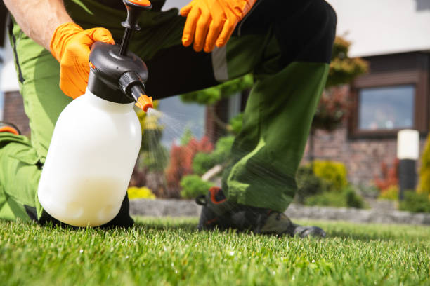 Best Bed Bug Extermination  in Colonial Pine Hills, SD