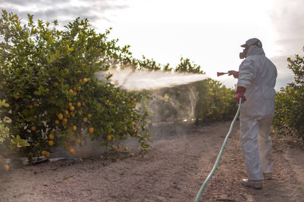 Best Wasp Removal Services  in Colonial Pine Hills, SD