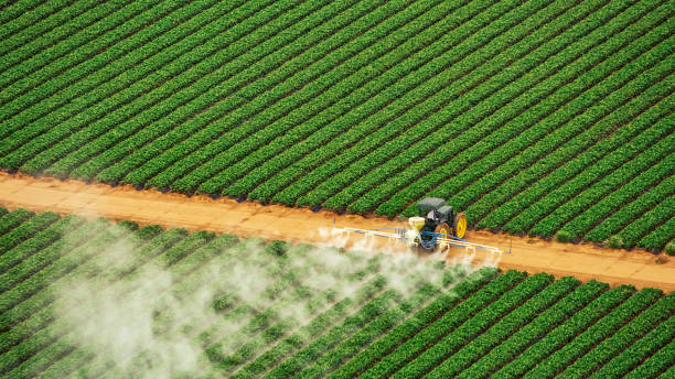 Best Termite Control Services  in Colonial Pine Hills, SD