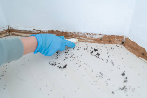 Best Affordable Pest Control Services  in Colonial Pine Hills, SD