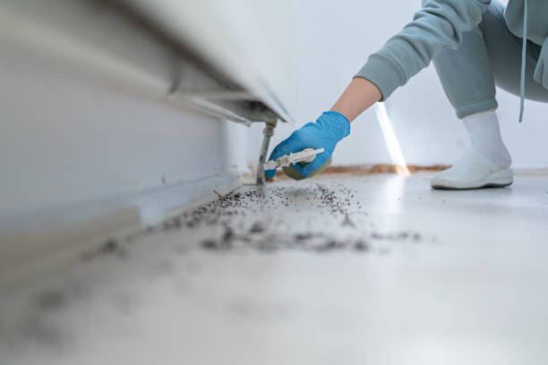 Best Pest Control Near Me  in Colonial Pine Hills, SD